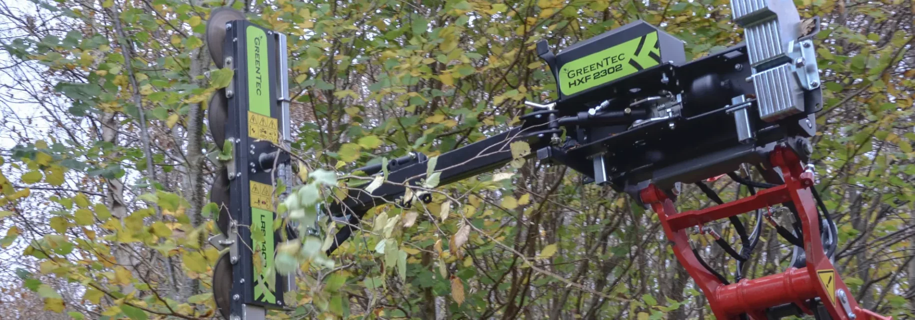 Prune branches with a smooth cut
