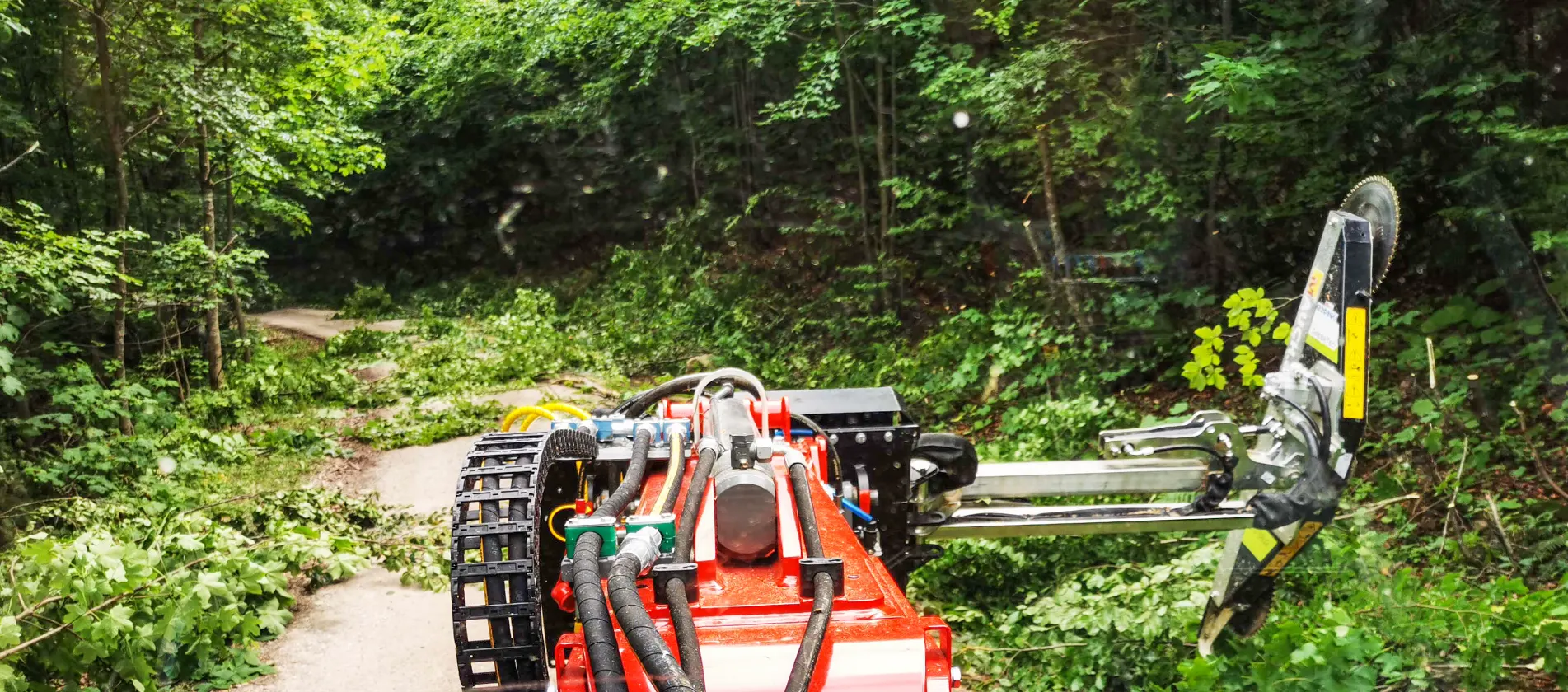 Friedl Krimbacher maintains paths in forests with hydraulic saw