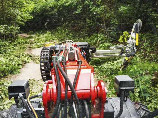 Friedl Krimbacher – Featured image