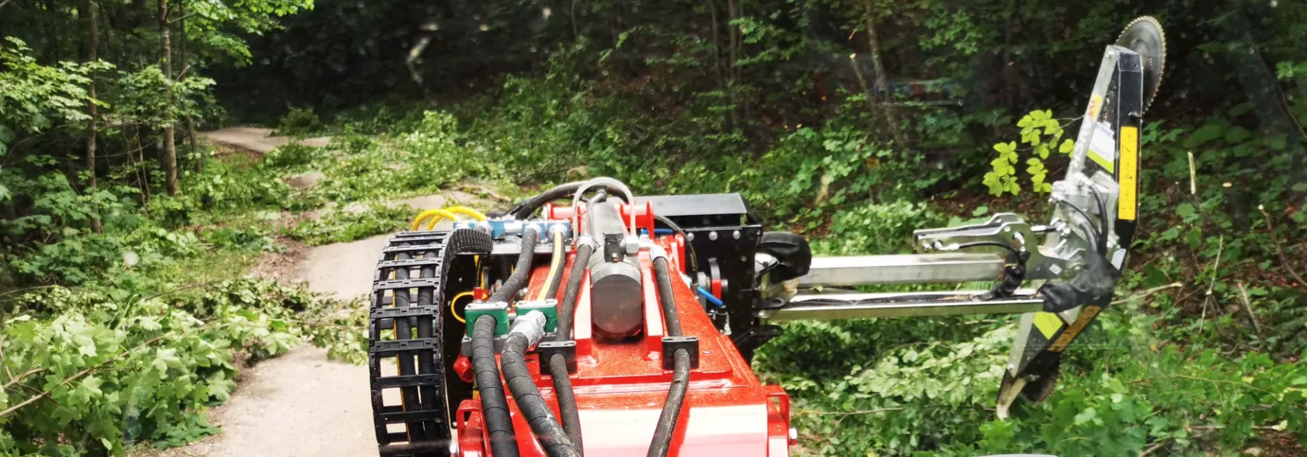 Adjust the arm to forest path