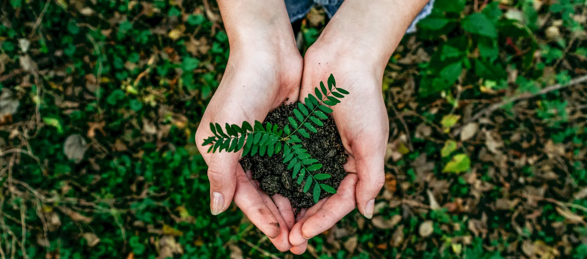 GreenTec sustainability