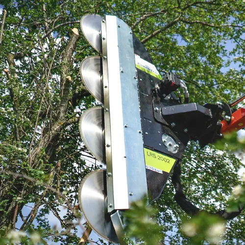 Prune branches with a smooth cut