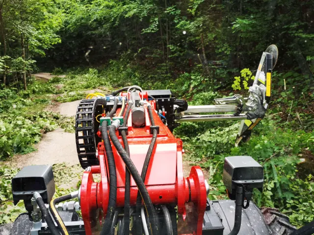 Baumschnitt von großen Ästen im Wald