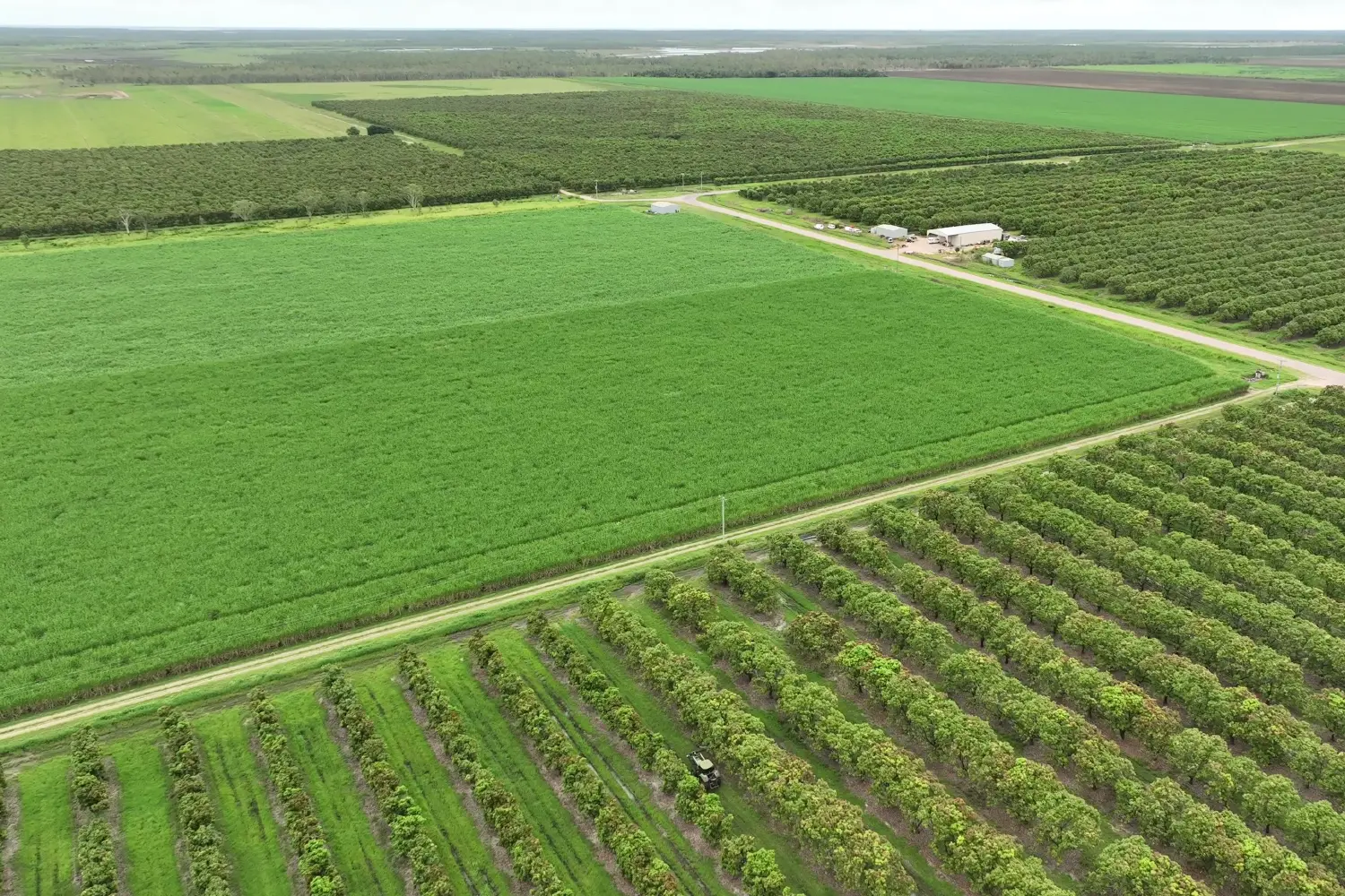Obstgarten in Australien