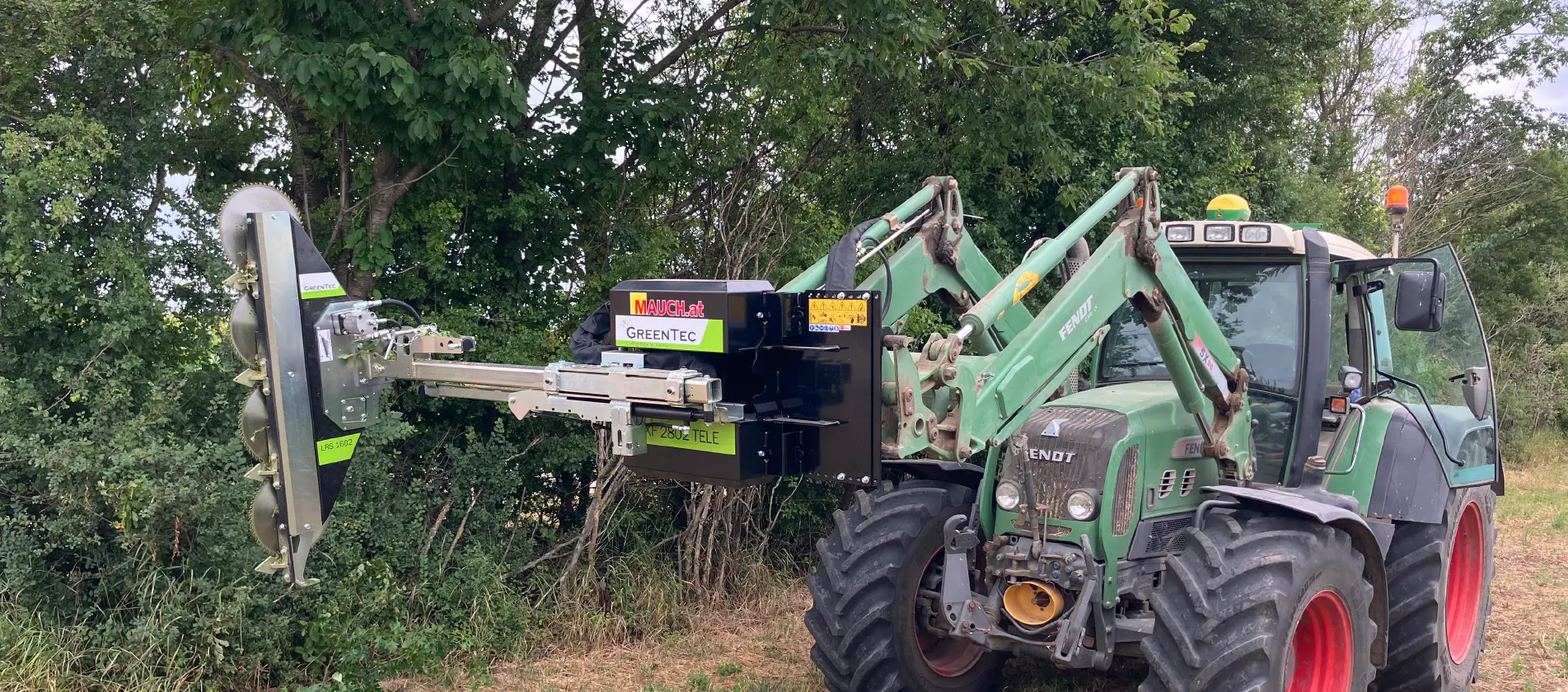 Windbreak maintenance with tree trimmer