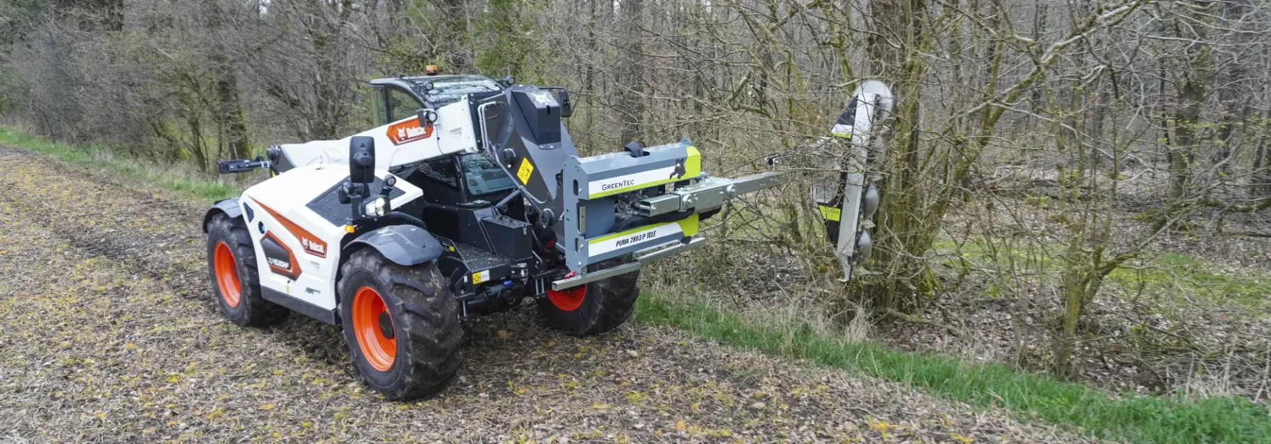 Limb saw for telescopic loader